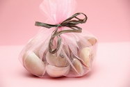 Puzici 442 - piccolomondo.me - Katalog prodavnica - Crna Gora
