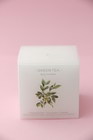 Sveca green tea 405 - piccolomondo.me - Katalog prodavnica - Crna Gora
