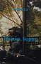NAIVAN.SUPER. - Erlend Lu | novaknjiga.com - Katalog prodavnica - Crna Gora