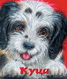 KUCA  - Grupa autora | novaknjiga.com - Katalog prodavnica - Crna Gora