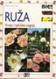 ruza - Paolo Cotini | novaknjiga.com - Katalog prodavnica - Crna Gora