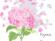 Luksuzna perkal MIRAROSSI® VIRGINIA Pink posteljina za 2 osobe - Katalog prodavnica - Crna Gora